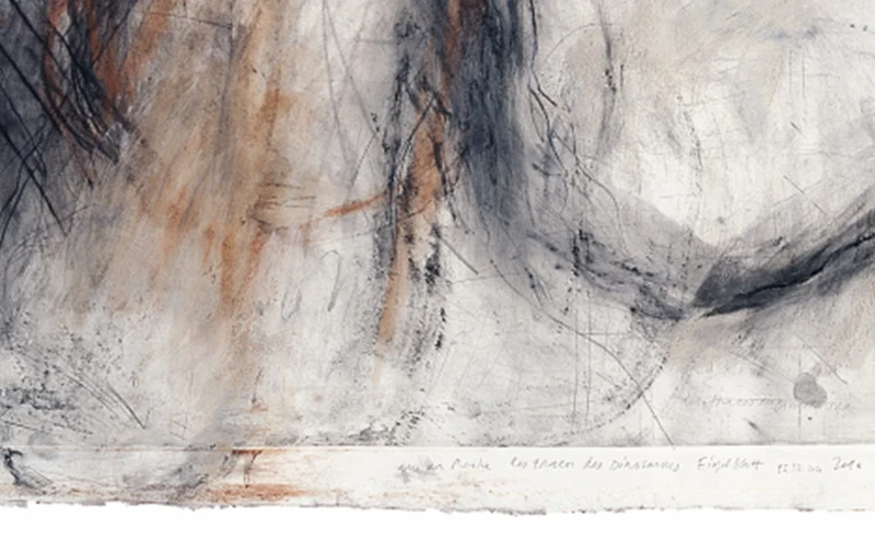 Les traces des dinosaures, 22.12.2010, pointe sèche, Chine collée, 112 x 185 cm (détail)