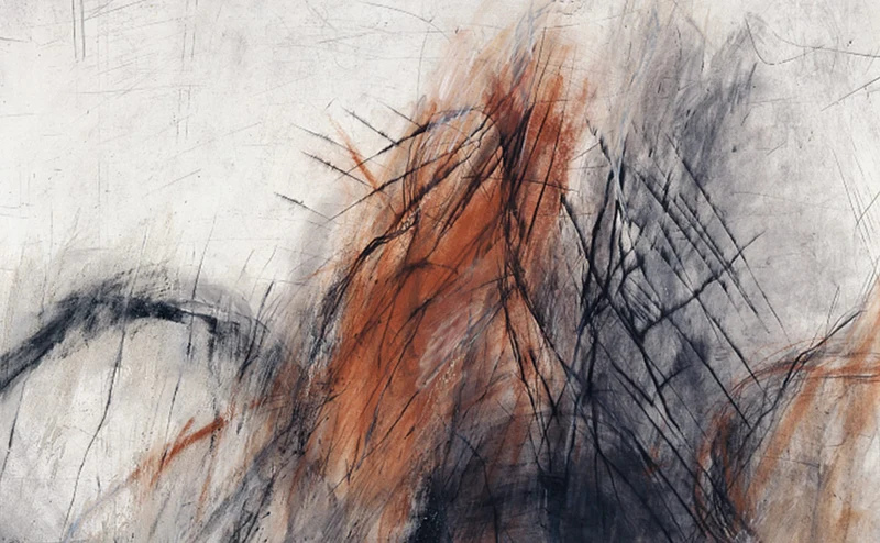 Les traces des dinosaures, 22.12.2010, pointe sèche, Chine collée, 112 x 185 cm (détail)