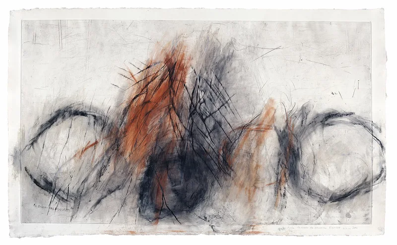 Les traces des dinosaures, 22.12.2010, pointe sèche, Chine collée, 112 x 185 cm (photo: J. Bélat)