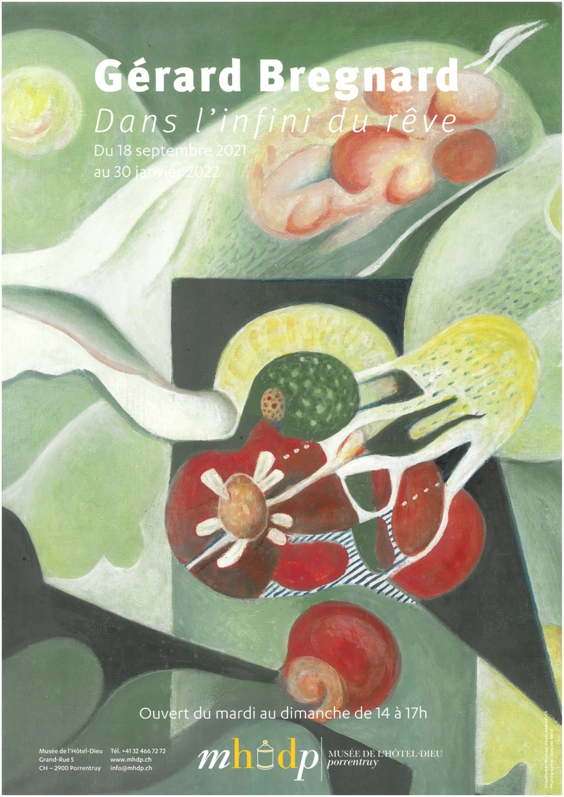 Gérard Bregnard - Dans l'infini du rêve